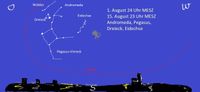 Andromeda, Widder, Dreieck, Eidechse im August